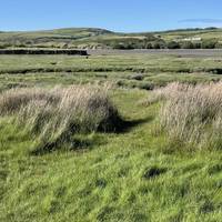 Look left for stunning views across the estuary of the Nevern.