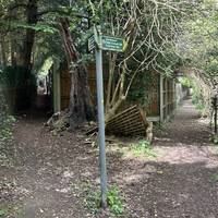 Eventually you will reach a divergence, take the right path.