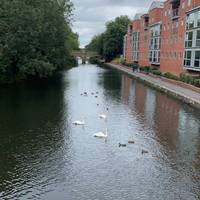 Walk along the canal towpath for approx 1.5 km