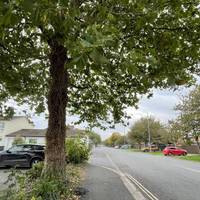 The road becomes Wharnecliffe Gardens. Continue ahead until you reach Parbrook Court.