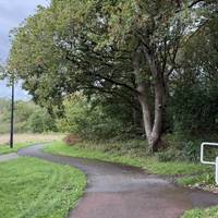 Continue along the meandering path with sports pitches to your left.