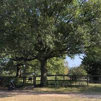 You’re heading for this gate by the trees on the opposite side