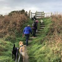 Turn right as you reach the bank and follow the grassy coastal path up the steps to the gateway into the field above