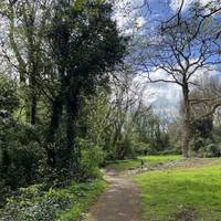 Continue left onto on the dirt path. It leads into the woods.