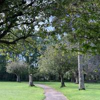 Enjoy the lovely avenue of trees. What do they look like in the season you’re walking in?