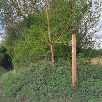 Turn right when you leave the village hall, and carefully cross the B1508 to the marked footpath on the other side.