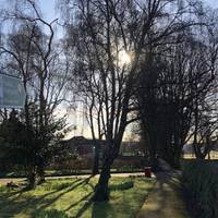 As you descend the hill, the road starts to level out. Cross over the road and enter the park towards a line of trees along a pathway.