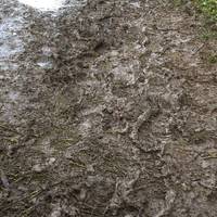 The footpath can get muddy in Winter!