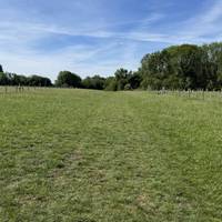 Walk ahead over the field following the hedge line on the right - there may be sheep in the pen to the left as you walk across the grass.