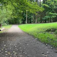 Continue into a woodland clearing where you can picnic and spot an owl sculpture.