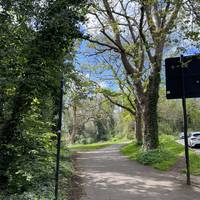 Look for a path on the left.