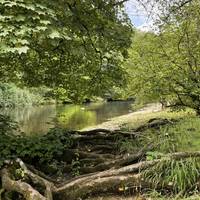 Take your time to wander along the River Ure. Once you get away from the falls there are fewer people
