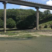 The Cleddau bridge swoops overhead but is a bit noisy at times so press on