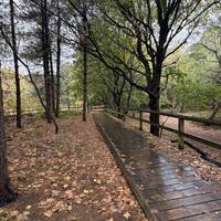 Head along the board walk and turn left once you get to the gate