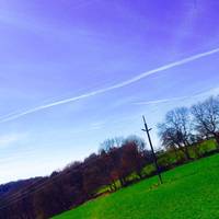 I always start at this beautiful field running parallel to the train tracks leading down to the forest 