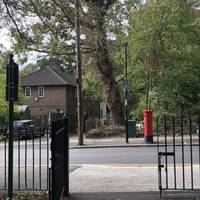 Cross Downderry Road safely and head back into the woodland and keep to the path. 