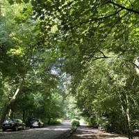 Head to the right of the cars to walk on the path marked by logs to the left, separating you from the car park spaces.