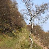 The walk itself has its own soundtrack, when the weather is calm there’s a silence, broken only by raven, bee and chaffinch.