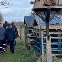 Lots to see like these giant Bug Hotels!