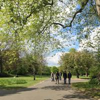 Even though the weather app told us otherwise, Regent's Park was covered in sunshine. 