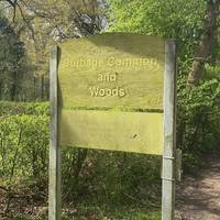Your walk begins here at Burbage Common and Woods.