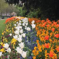 Amazing flower arrangements is a theme through the park.