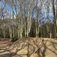 Ambresbury Banks were built around 500BC and would have been built with wooden or bone tools. They were likely used as look out posts...