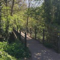 Head over the bridge which crosses the river Trym. Enjoy the tranquility & a game of Pooh Sticks. Look up local project Trout in the Trym.