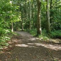 Follow the winding path which verves slightly left along the main trail