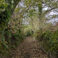 Warleggan to Pantersbridge via the old  green lanes of Garlands Lane and Newland Hill.