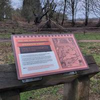 Find out more about Sherwood Forest on the information boards as we pass them