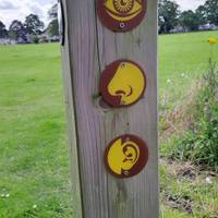This Sensory Trail circles the park. Look for the posts and use them to discover a range of experiences on your walk.