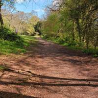 Go straight up the left path on the right gate. Left gate is cycle route