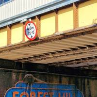 Follow the A205 under the railway bridge to find Lionel Stanhope's mural, crowdfunded in 2018, and featuring the famous Horniman walrus