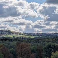 At the bottom of the steps, next to a fallen tree admire the view