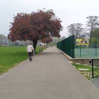 Follow the path down the centre of Kneller Gardens towards the pavilion building and cafe.