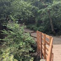 Cross the bridge over the stream.