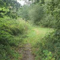 Carry on this narrow path, passing the small hidden bridge on your right. On the left side of the path is the Aldermoor Leisure Gardens.