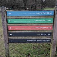 Today we're following the Major Oak Trail