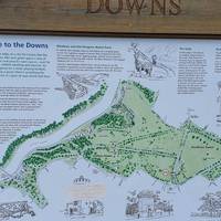 There is a information board telling you more about the area at the start of The Downs.