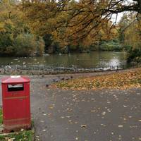 By a litter bin, bear left towards the lake and turn right along the lakeside path. There is a low railing to the left.