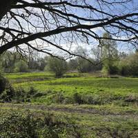 This 1.5 mile step free route begins at Sloughbottom Park, looping through the Wensum Local Nature Reserve, along the River Wensum and back.