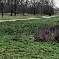 Follow the path cross field until you meet the cycle path. Turn ➡️ Note mistletoe clumps in trees