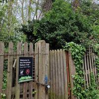 Pass the Horniman gate & continue down the hill a short distance. Just after the bottom gate is a path. Take this. The trail is on the left.