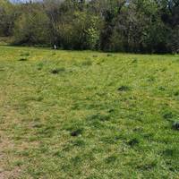 Walk starts here. Look for bees & butterflies in the meadow. Leave a patch of your garden wild to attract wildlife. Biodiversity is key!