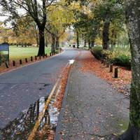 Walk into the park along the pavement by the access road. If the  gap next to the tree is too narrow, go throgh the car park, keeping left.