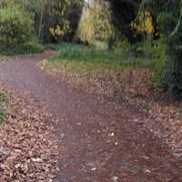 Follow the walkway while soaking up the sights and sounds of nature all around you.