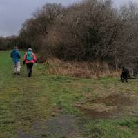 The stile is ahead of you at the right hand corner of the field.