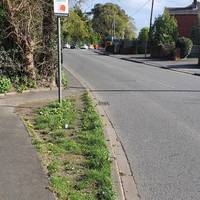 Turn left on Weston Lane to walk towards Mayfield Nursery Entrance. Narrow left side path is unsuitable for mobility scooters & wheelchairs.