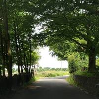 Continue ahead on this road without turning off. Most views are on the left and stretch across Bury and Bolton.